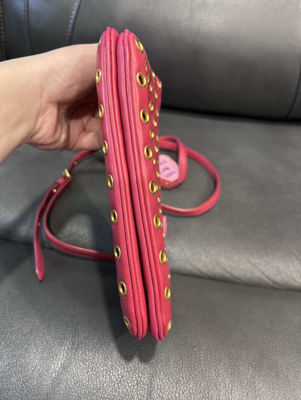 MiuMiu Crossbody - Picture 8 of 16